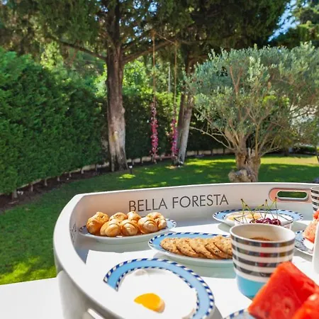 Bella Foresta * 이알리소스