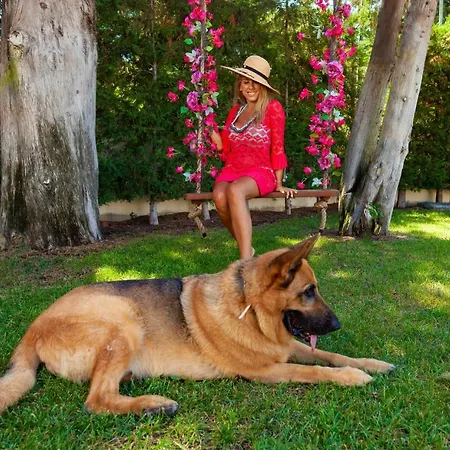 Bella Foresta * Ialysos (Rhodes)