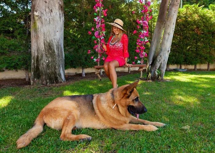 Bella Foresta * إياليسوس